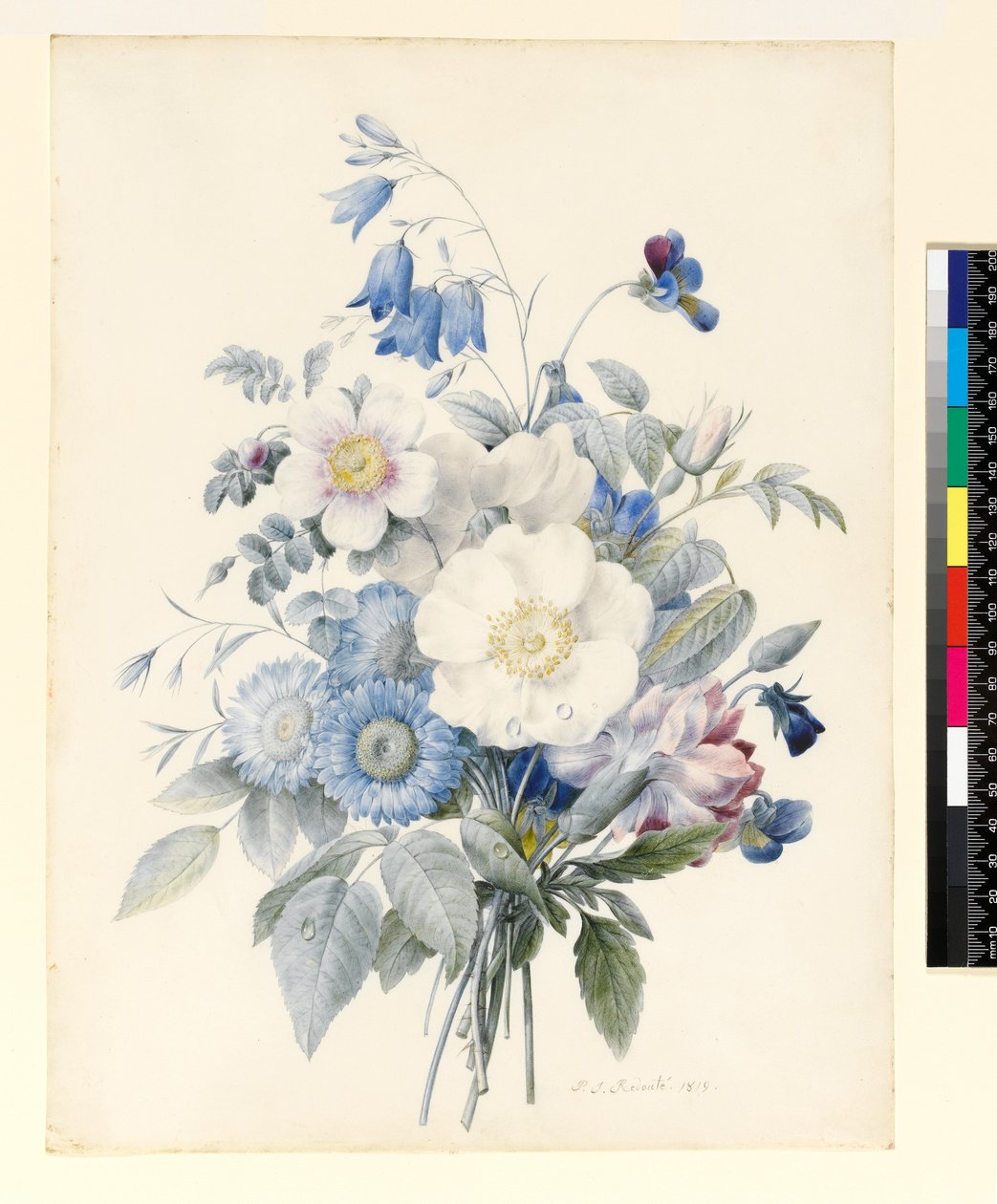 Een Tak van Zomerbloemen, 1820 door Louise DOrleans