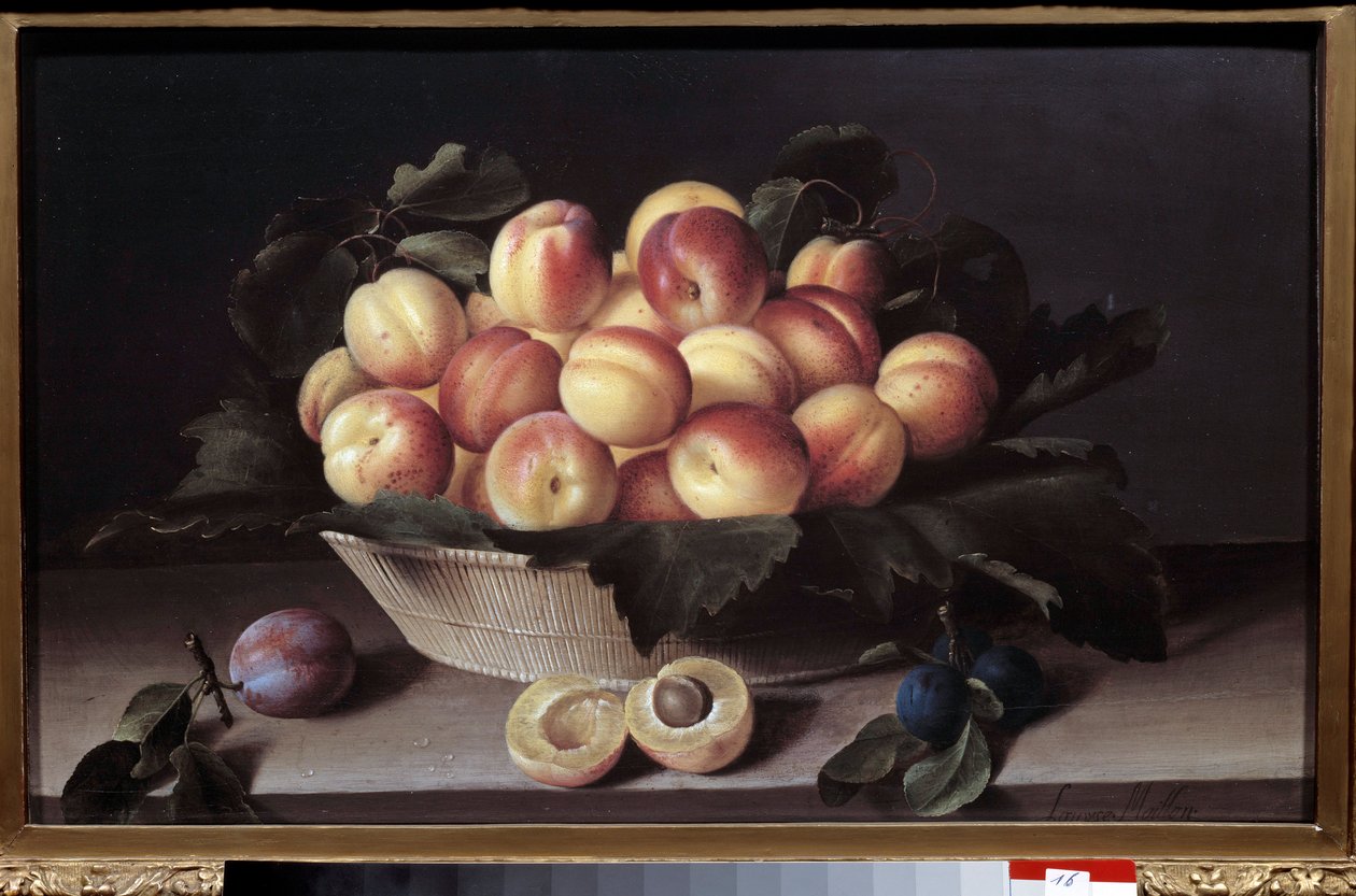 Stilleven met abrikozen door Louise Moillon