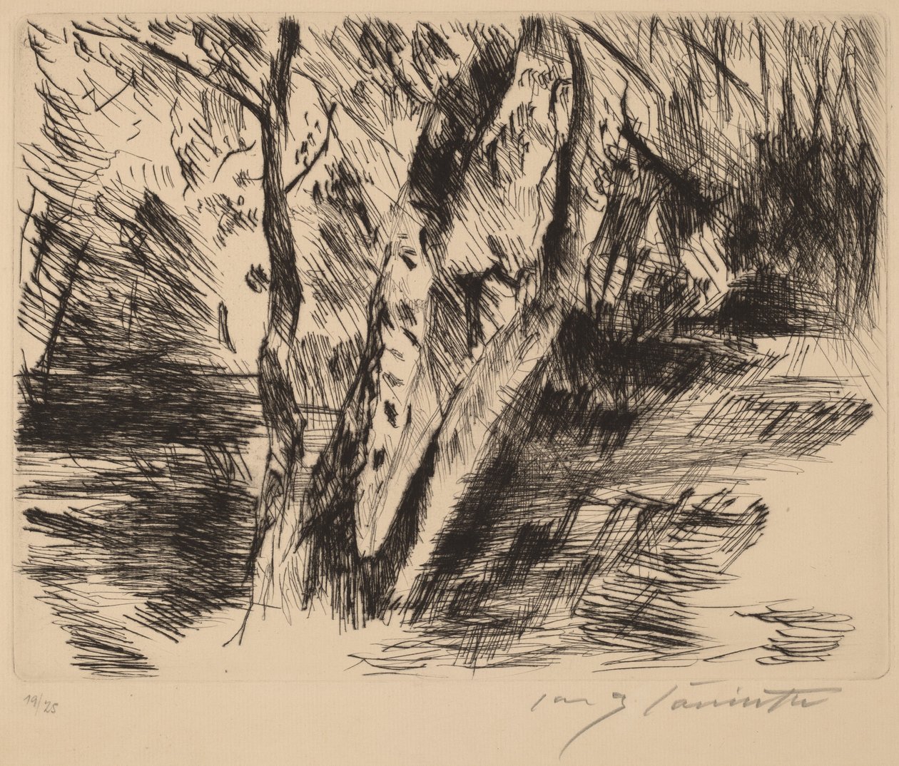 Berkenstammen in de Tiergarten door Lovis Corinth
