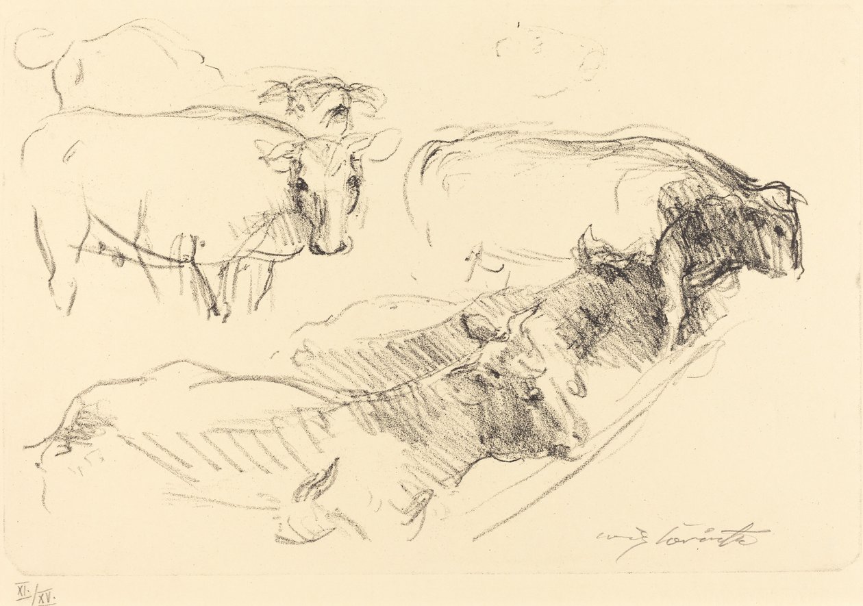 Koeien door Lovis Corinth