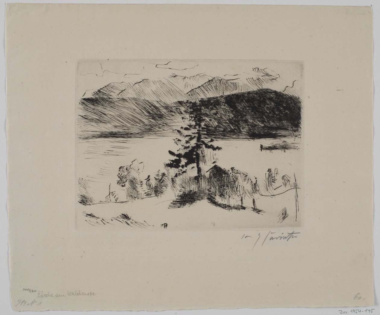Lärche aan de Walchensee door Lovis Corinth