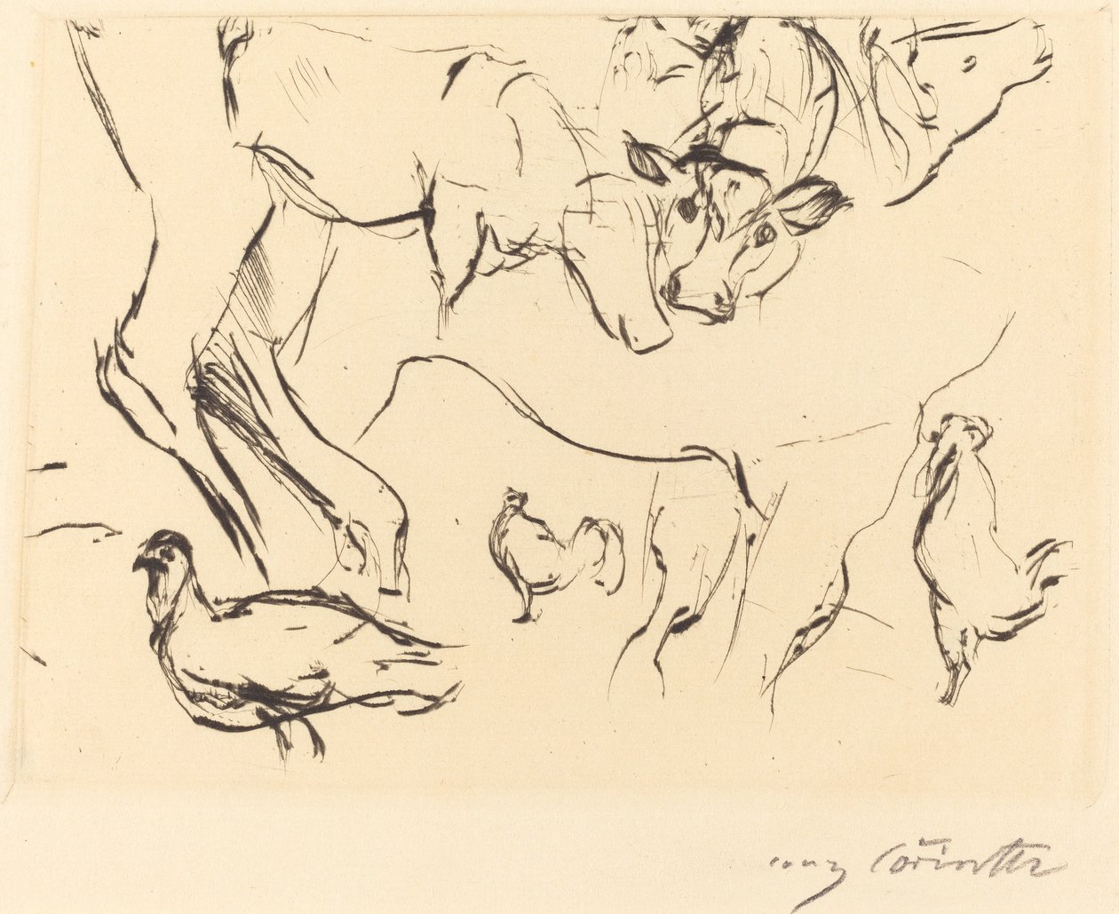 Verschiedene Tierstudien, 1917 door Lovis Corinth