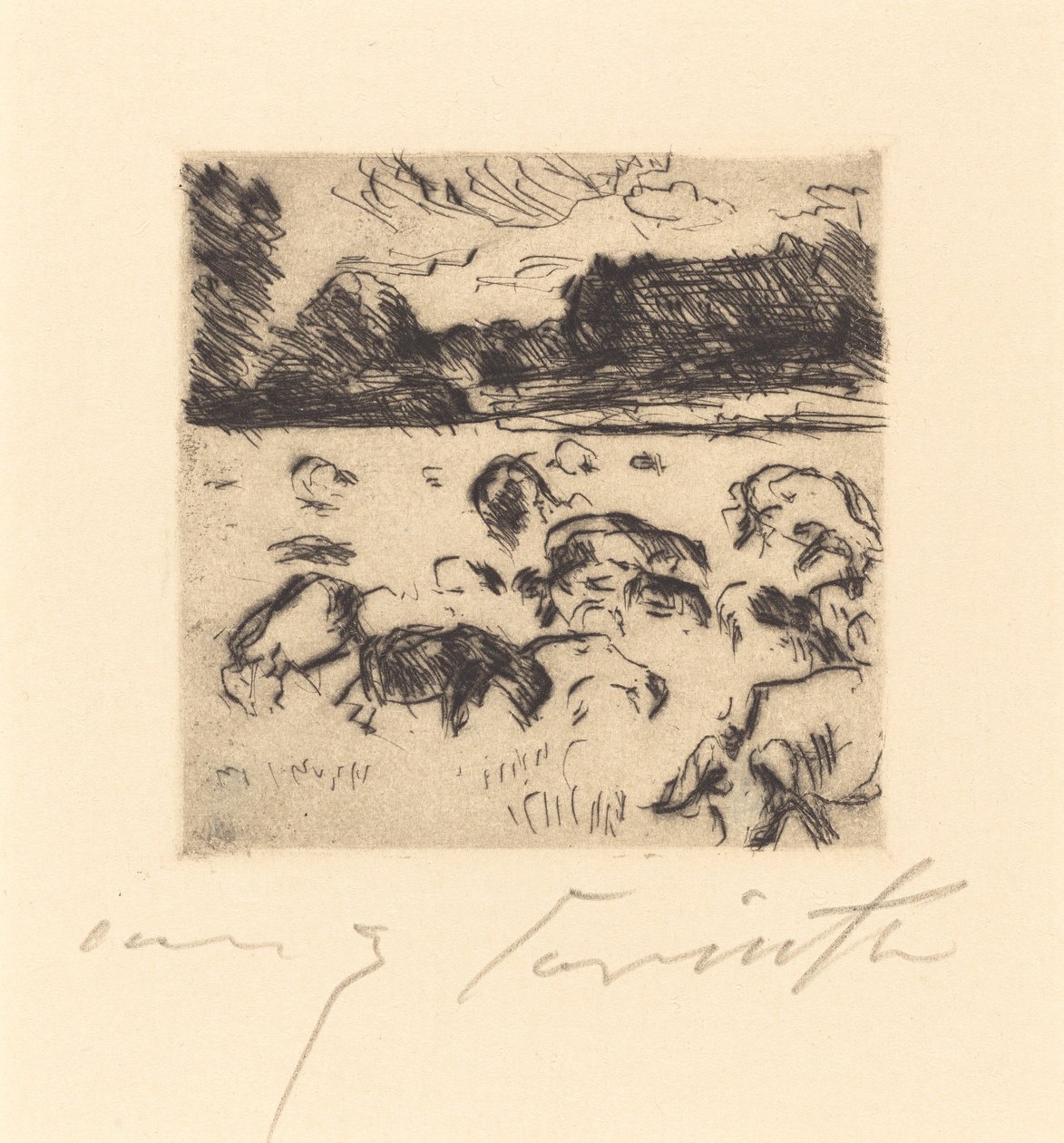 Grazende schapen, 1916 door Lovis Corinth