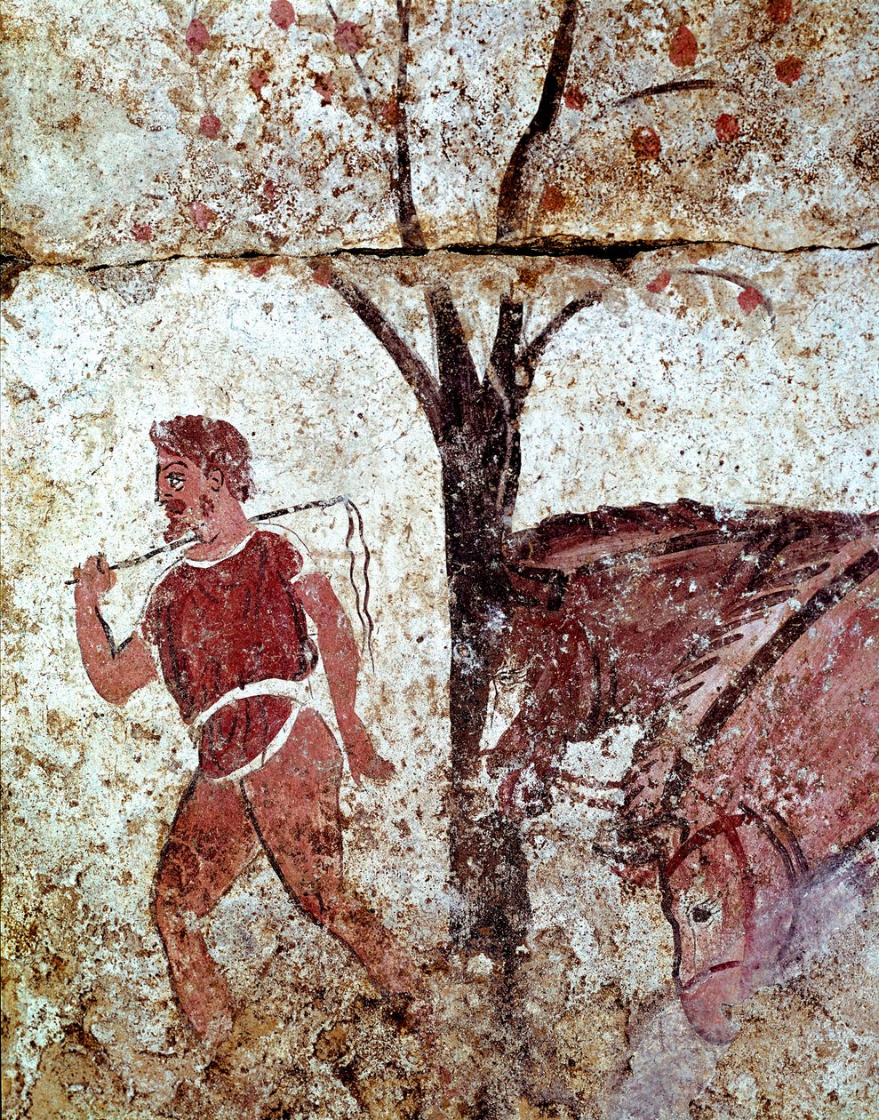 Een boer die twee paarden trekt. Lucanisch fresco uit de 4e eeuw v.Chr., uit de necropolis van Paestum, Italië. Museo nazionale archeologico, Paestum door Lucanian School