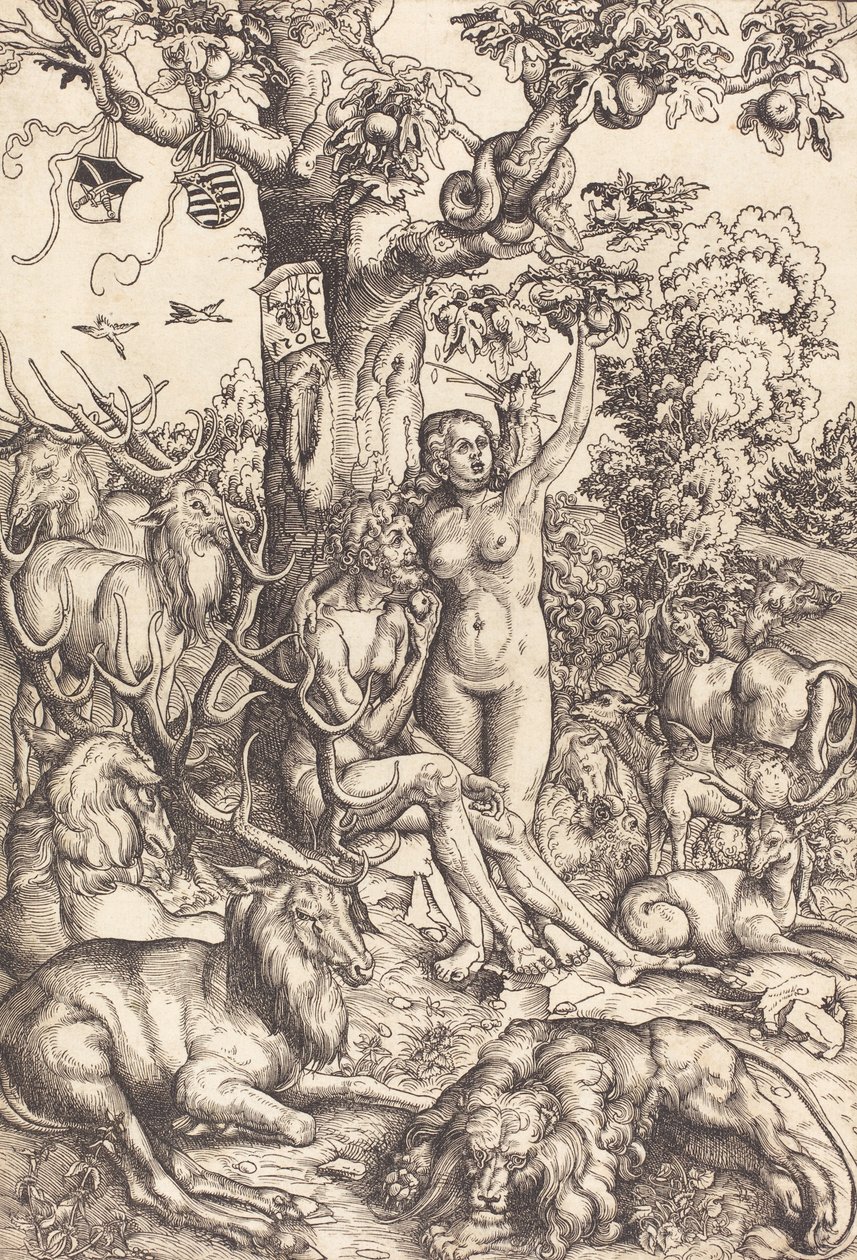 Adam en Eva door Lucas Cranach the Elder