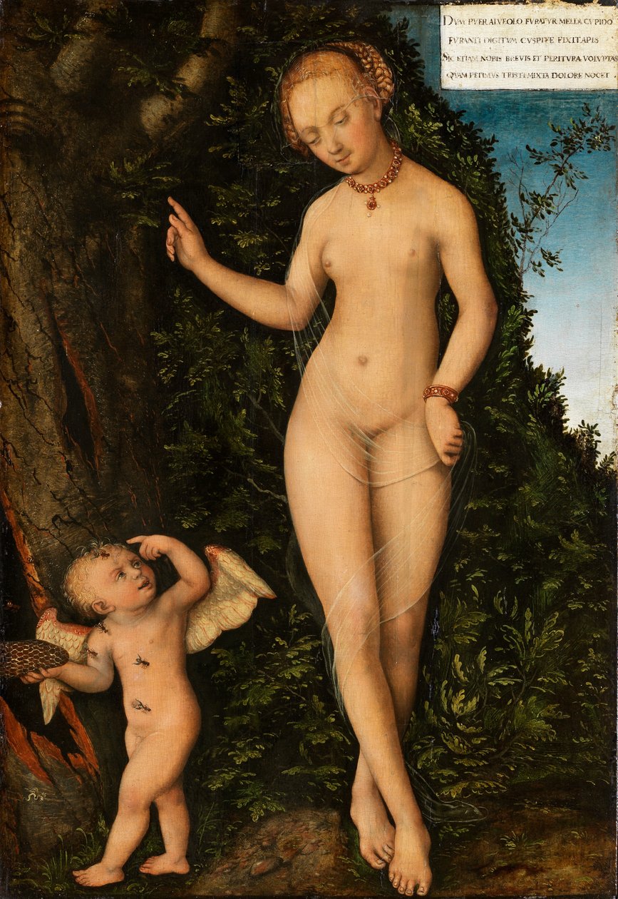 Venus en Cupido, de honingdief door Lucas Cranach the Elder