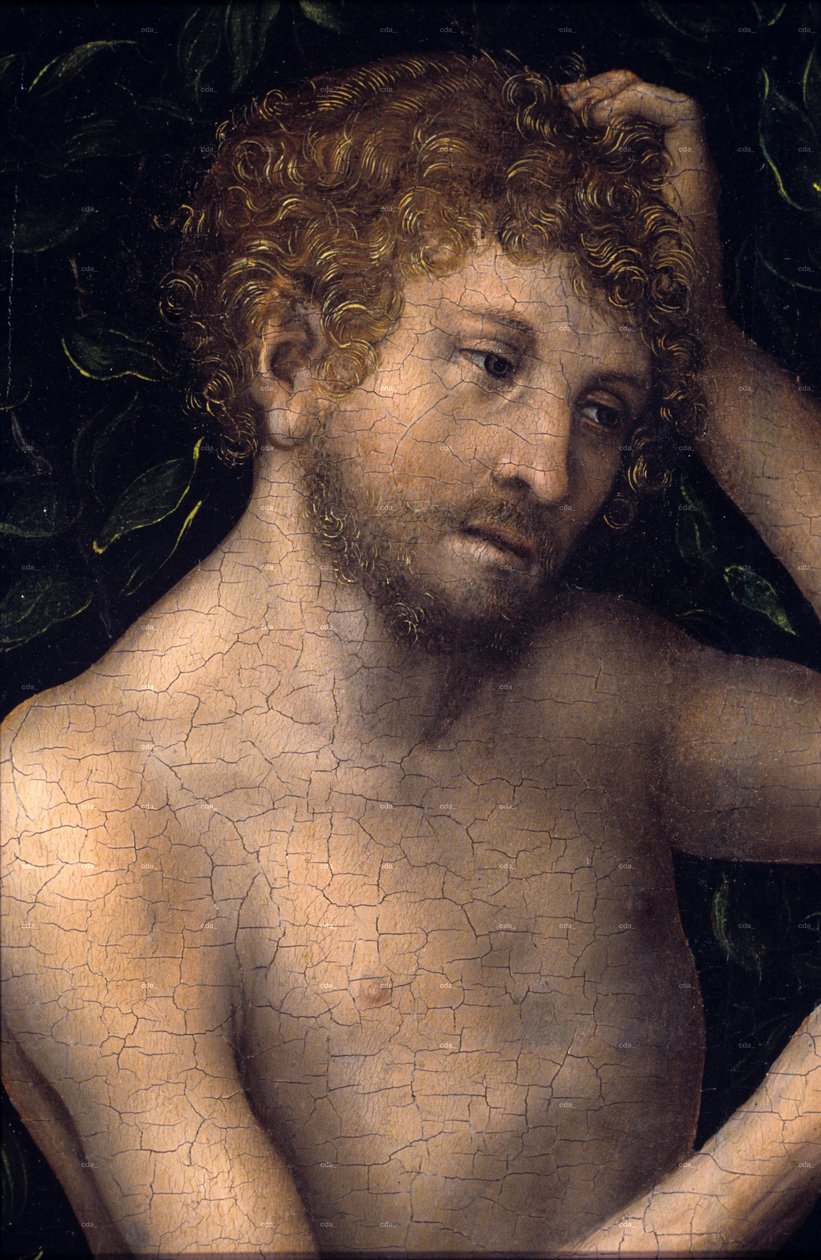 Adam en Eva








































 detail door Lucas Cranach the Elder