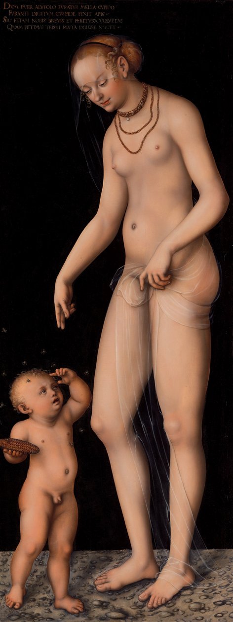 Venus met Cupido als Honingdief door Lucas Cranach the Elder