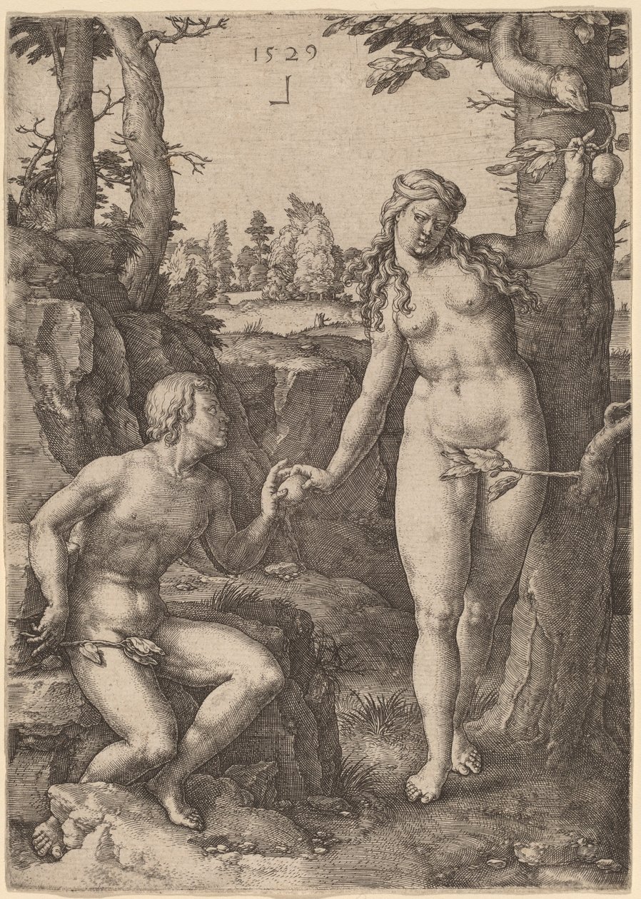 De val van de mens door Lucas van Leyden