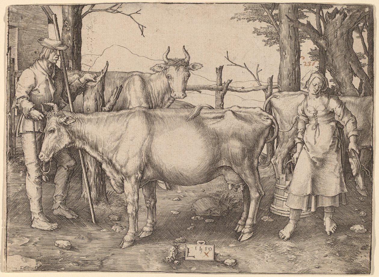 Het melkmeisje door Lucas van Leyden