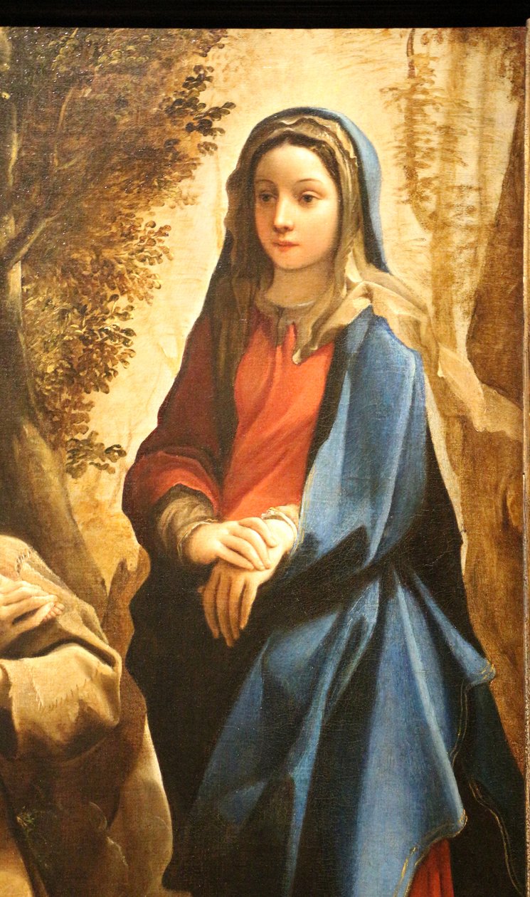 Dutch: Visioen van de Heilige Antonius van Padua of de Heilige Franciscus van Assisi The Vision of Saint Francis of Assisi door Ludovico Carracci