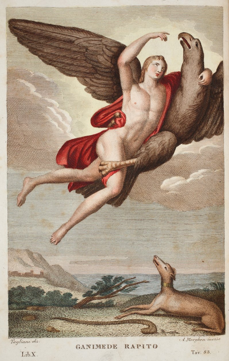 Ganymedes naar de Hemel gedragen, Boek X, illustratie uit Ovidius