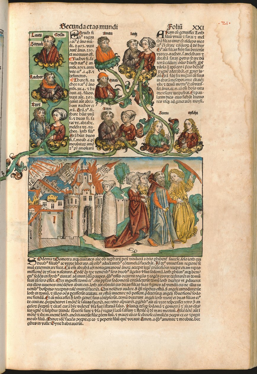 Stamboom van Laban, uit de Neurenbergse Kroniek door Hartmann Schedel (1440-1514) gedrukt in 1493 door M. and Pleydenwurff W. Wolgemuth