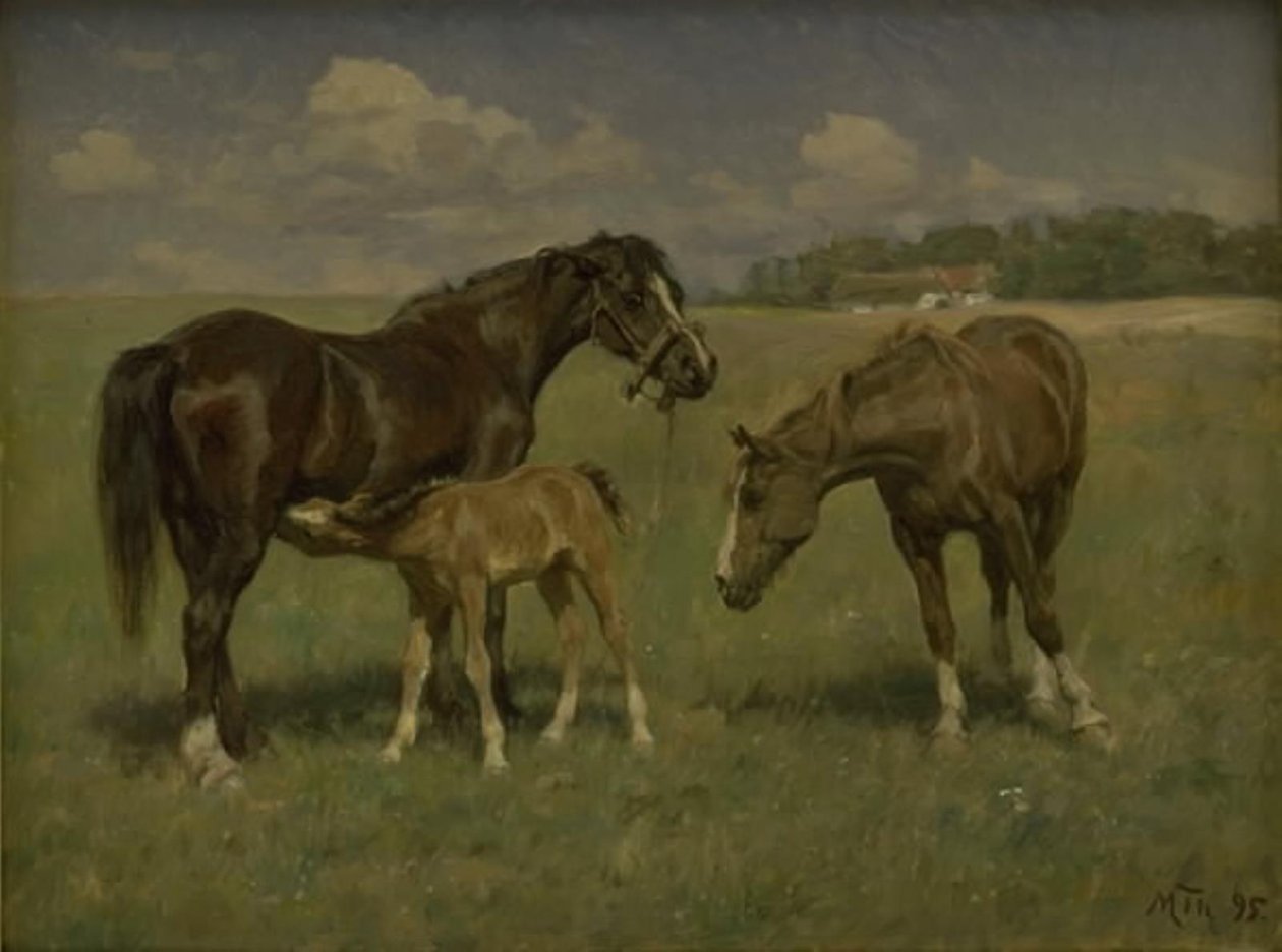 Drie paarden op een veld door M. Therkildsen