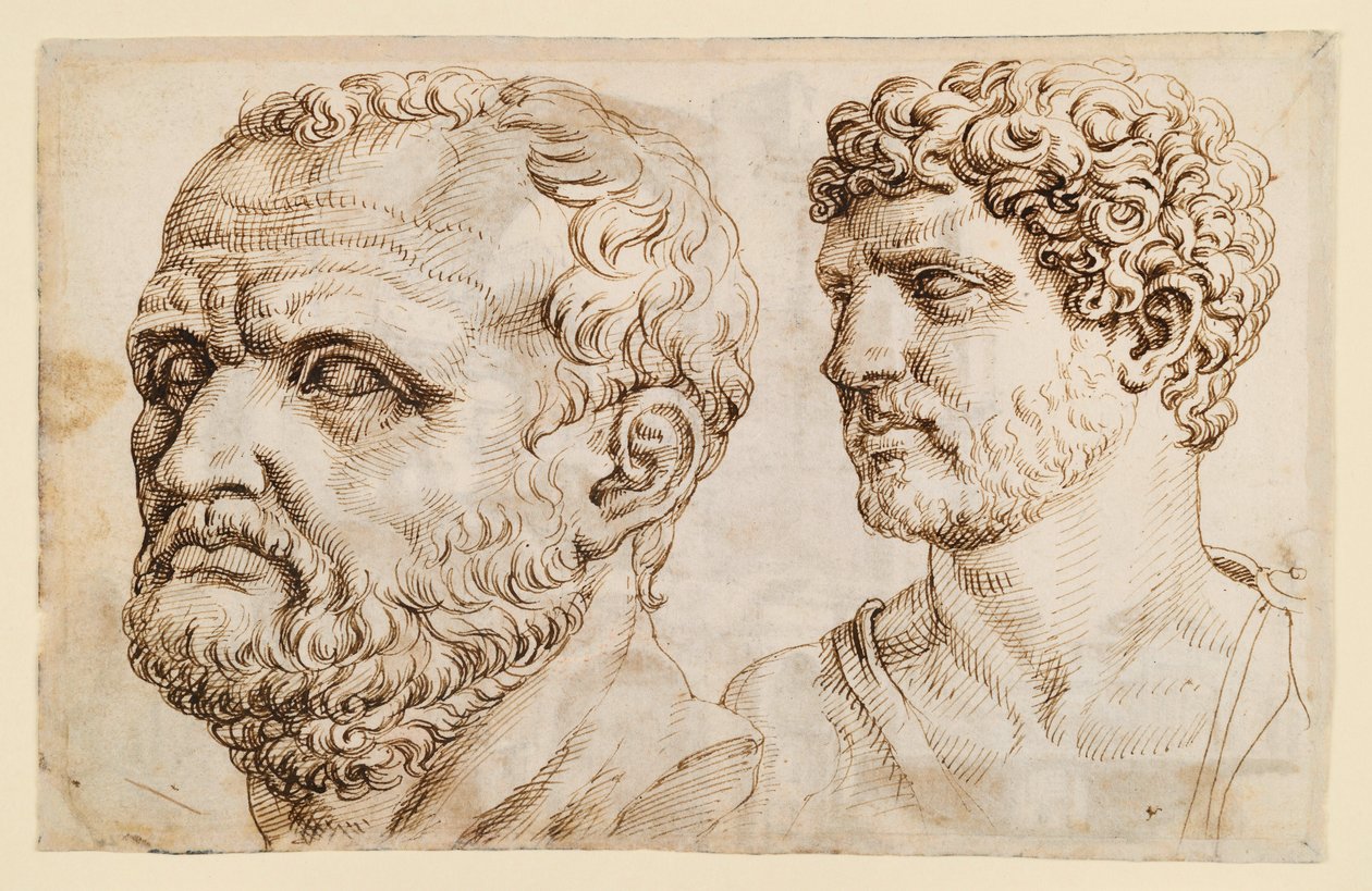Twee hoofden van antieke standbeelden door Maarten van Heemskerck