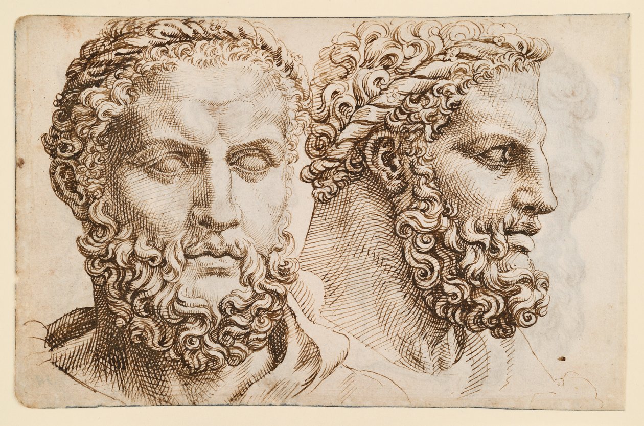 Twee studies naar het hoofd van de Vaticaanse "Hercules" door Maarten van Heemskerck