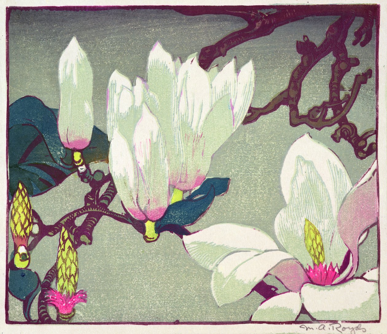 Magnolia, c.1925 door Mabel Royds