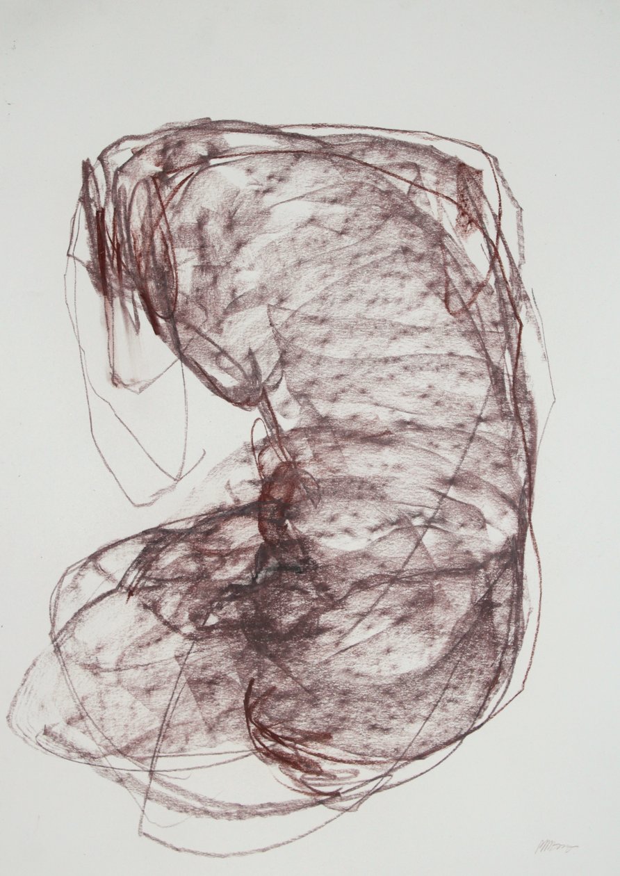 Torso 5, 2022 (houtskool op papier) door Madgalena Morey