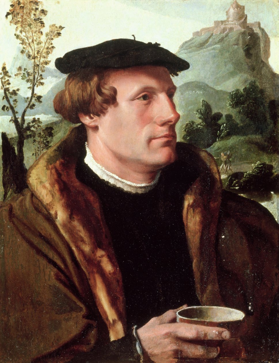 Portret van een heer door Maerten van Heemskerck