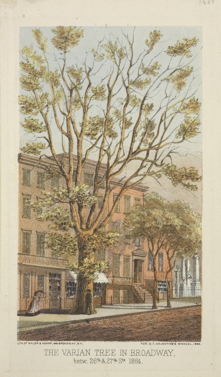 De Varian Boom in Broadway, tussen 26e en 27e Straat, 1864 door Major and Knapp