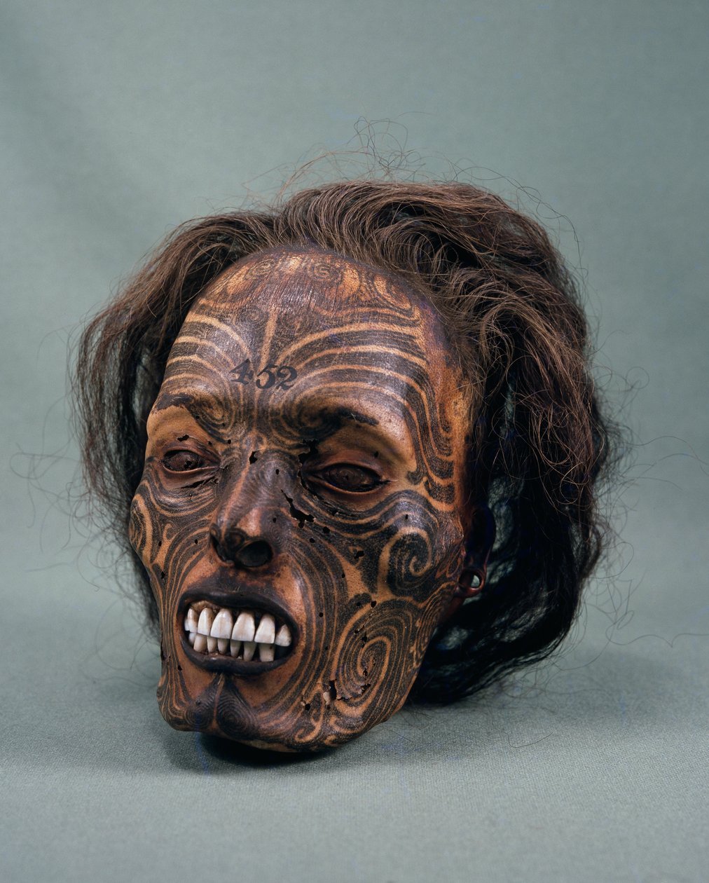 Hoofd van stamhoofd, getatoeëerd en gemummificeerd, Maori beschaving door Maori Maori