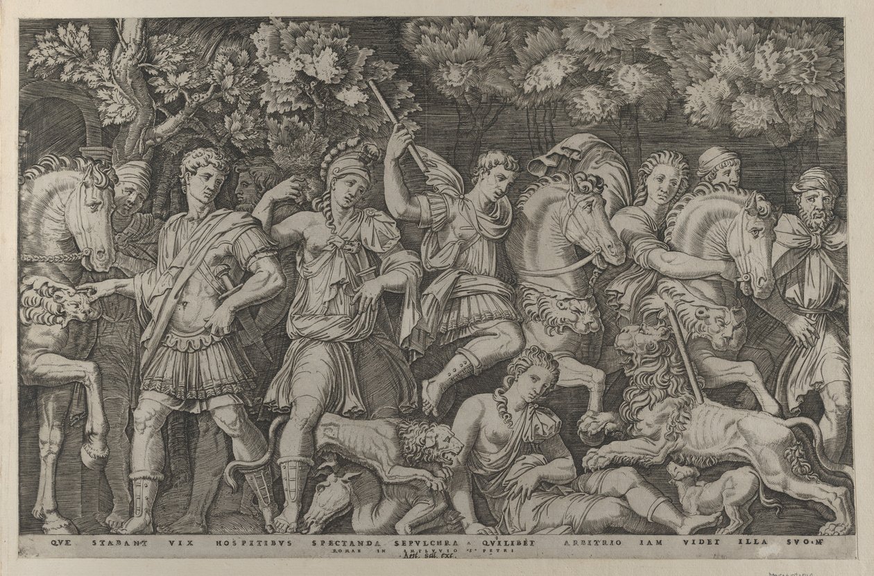 Speculum Romanae Magnificentiae: De Leeuwenjacht door Marcantonio Raimondi