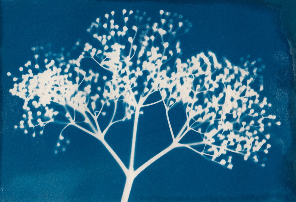 Brieven, 2014 (houtdruk op papier) door Marco Campedelli