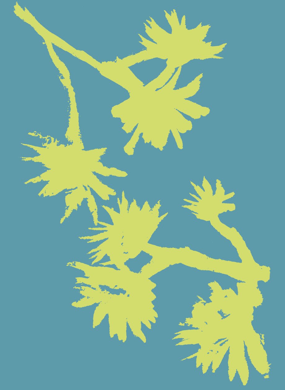 Succulent_2, 2022 (inkt op papier) door Marco Campedelli