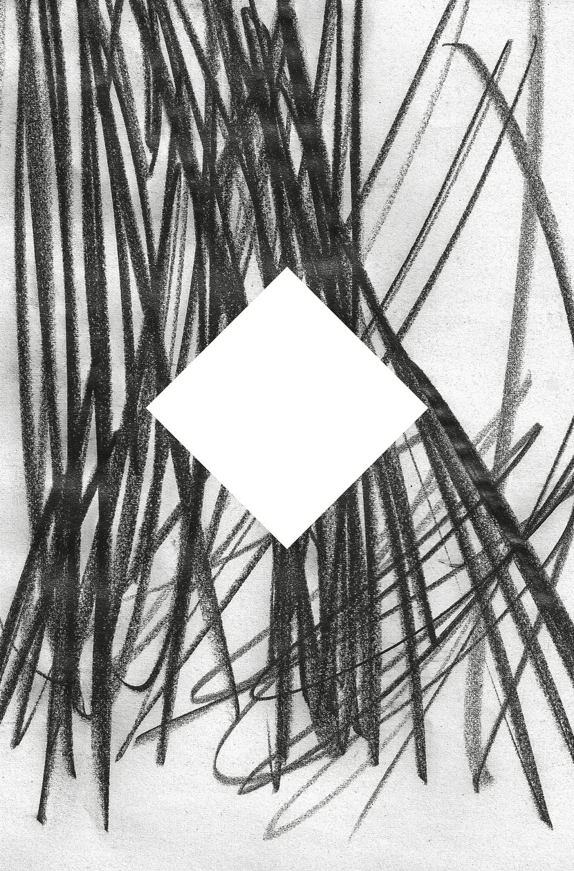 Zonder titel, 2014 (grafiet op papier) door Marco Campedelli