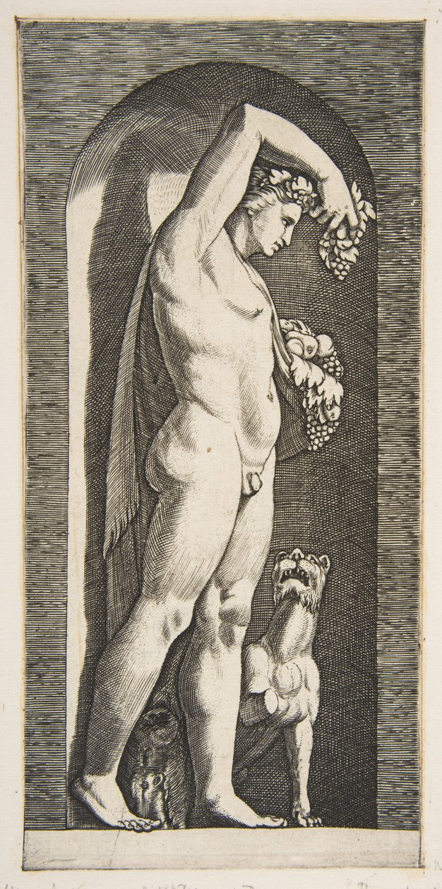 Bacchus staand in een nis met druiven in zijn opgeheven rechterhand, fruit in zijn linkerhand, ca. 1515-27 door Marco Dente