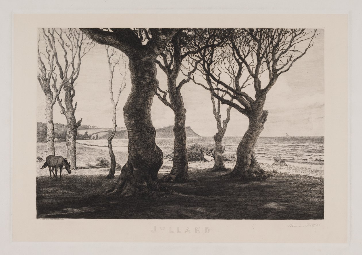 Jutlands landschap door Marcus Bech Fritz