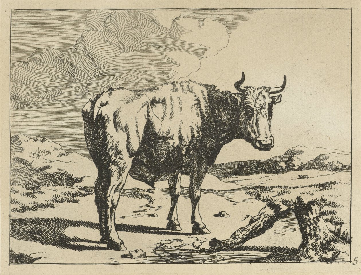 Stier staand bij boomstronk door Marcus de Bye