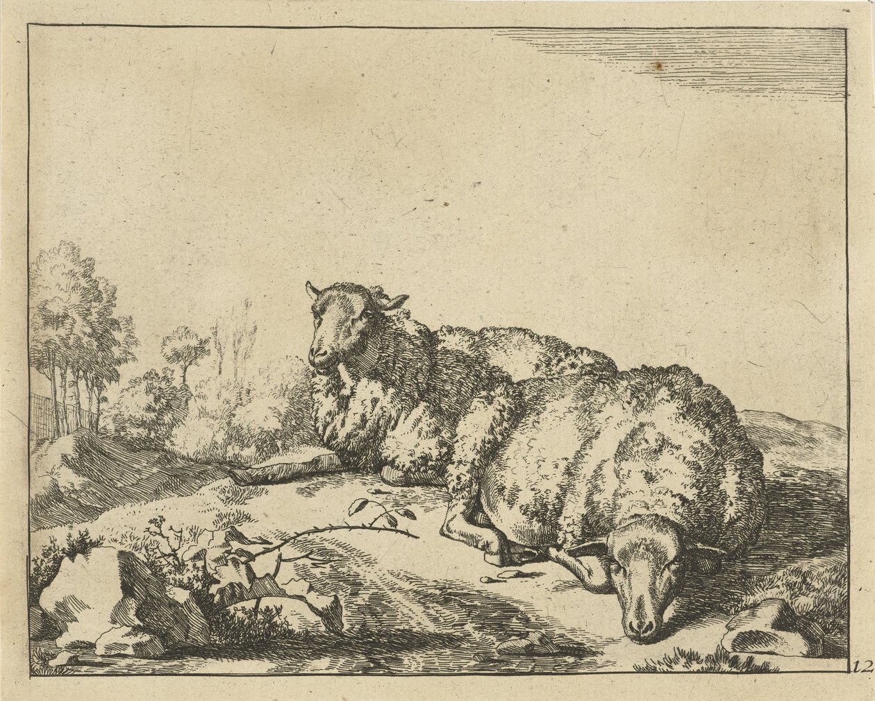 Twee schapen liggend bij bramentak door Marcus de Bye