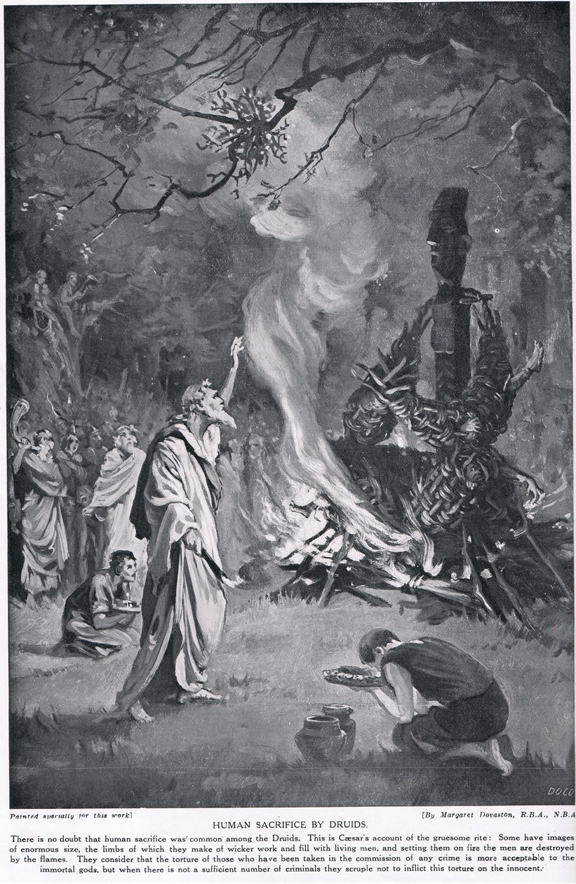 Mensenoffers door Druïden, illustratie uit 
