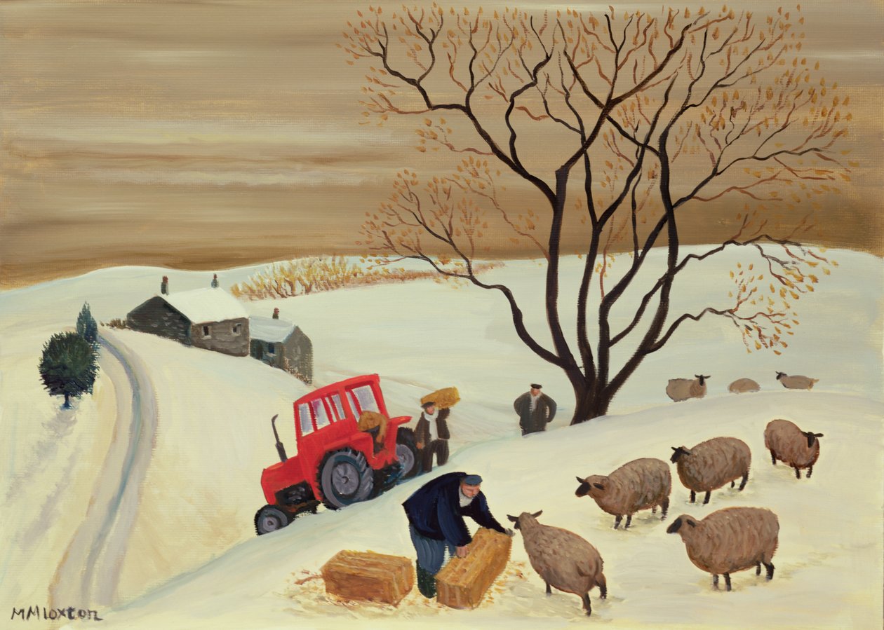 Hooi naar de schapen brengen met de tractor door Margaret Loxton
