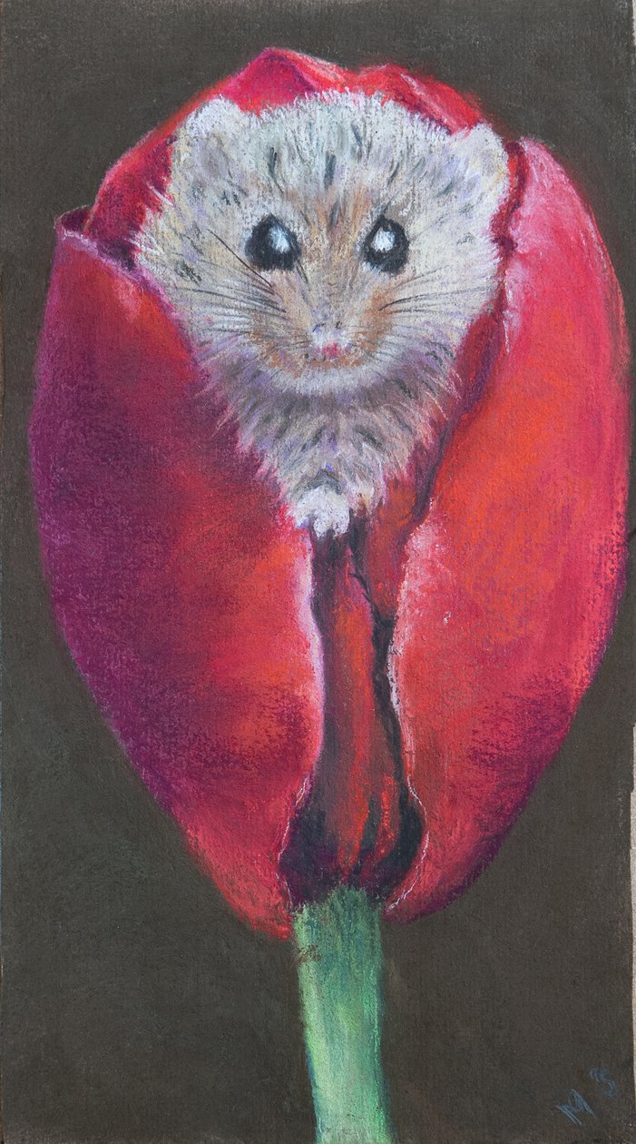 Deur Muis in Tulp, 2022 door Margo Starkey