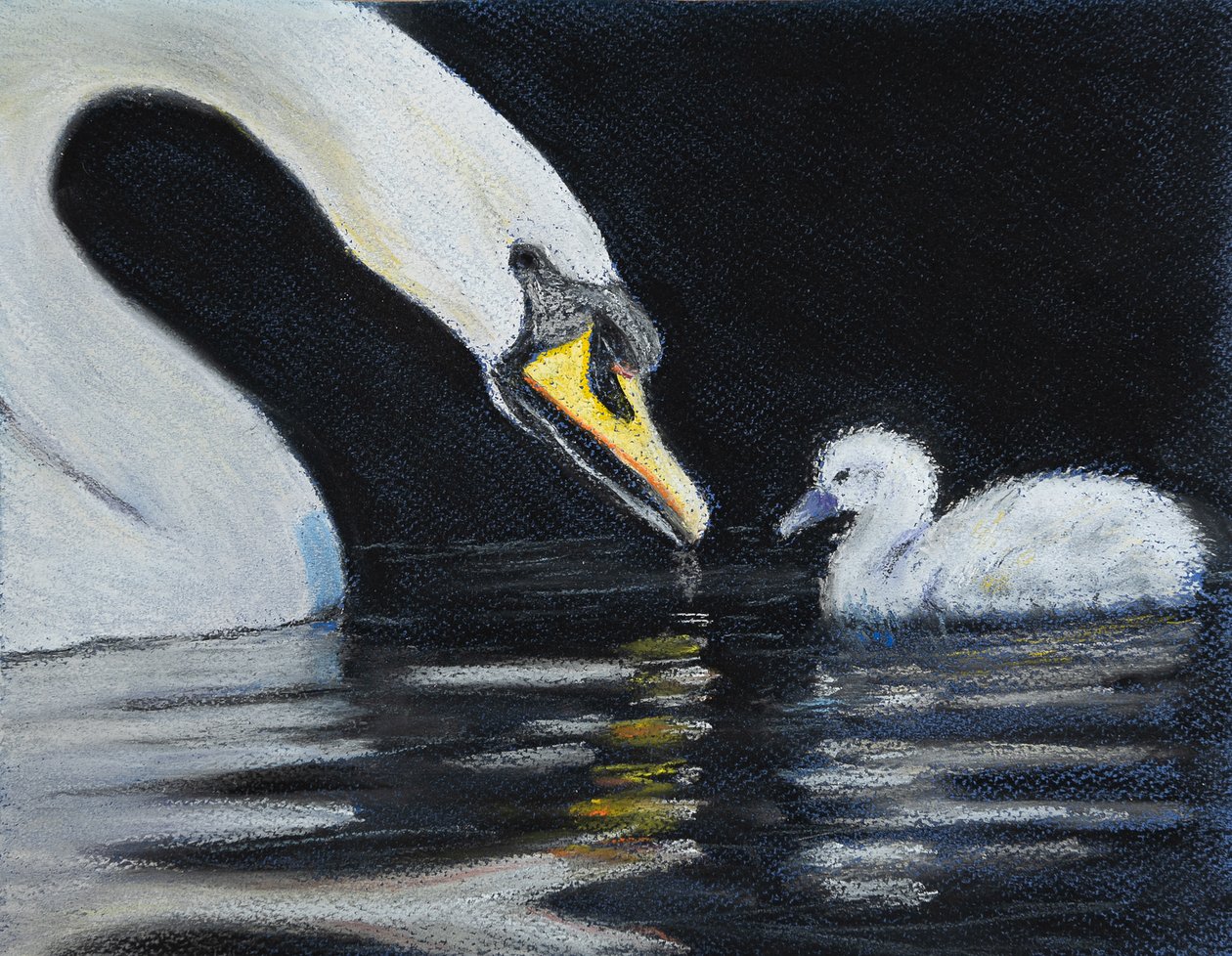 Volg mama door Margo Starkey