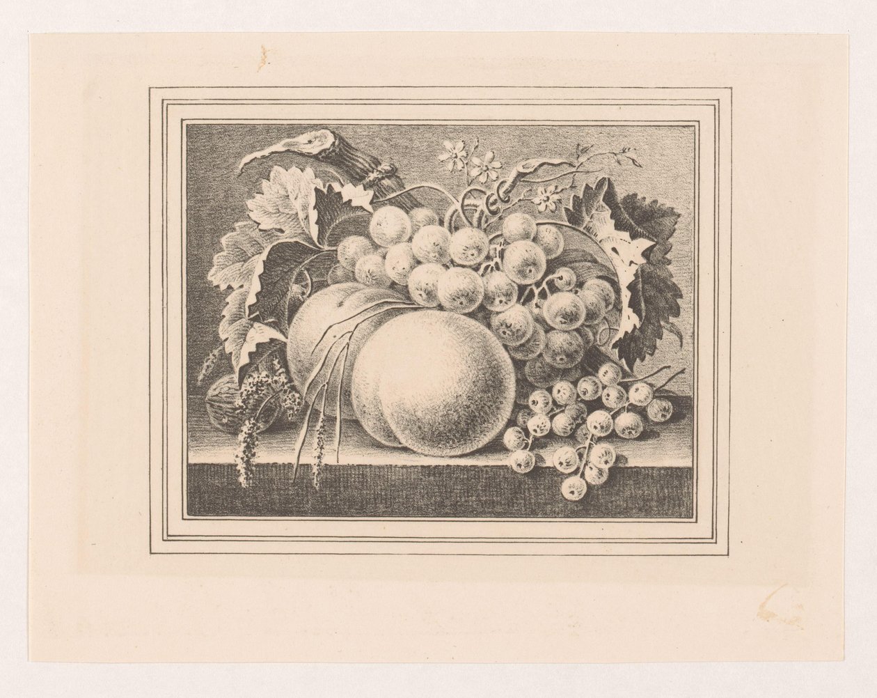 Compositie met vruchten in een omlijsting door Maria Geertruida de Goeje Barbiers (attributed to)