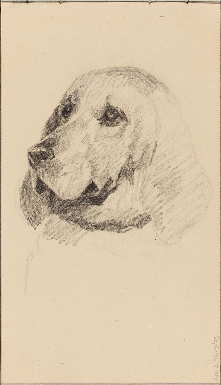 Kop van een hond door Maria Wiik