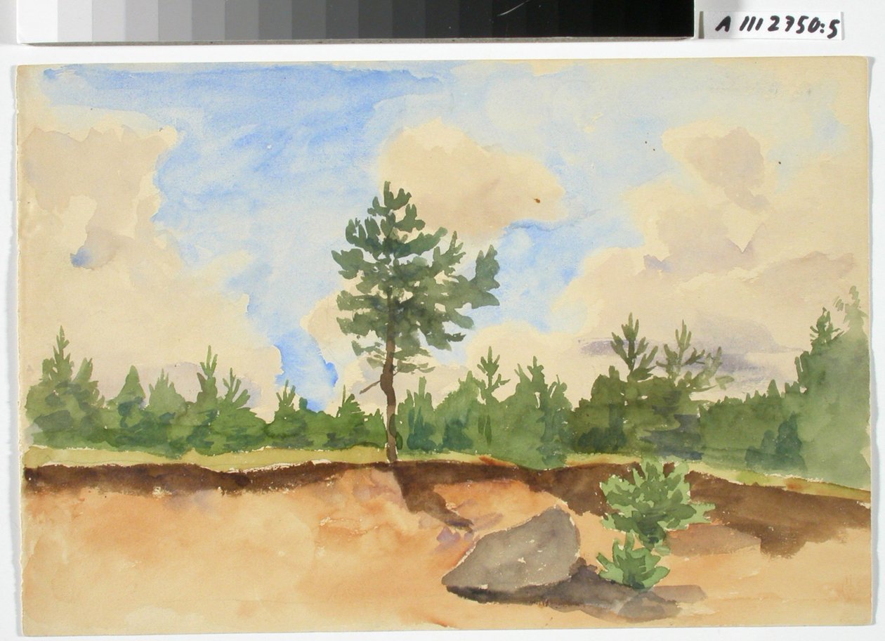 Landschapsstudie, zandgroeve door Maria Wiik