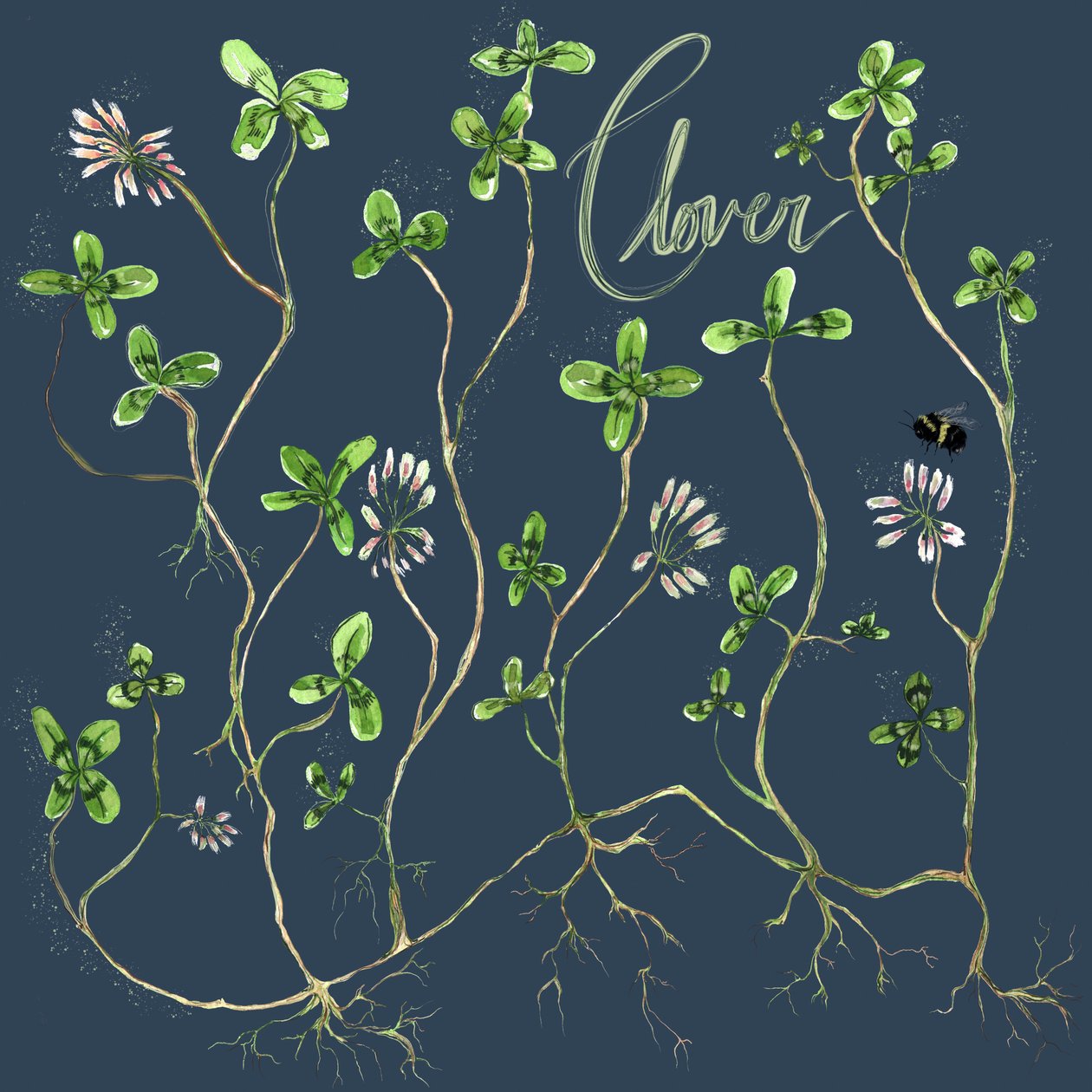Klaver Botanisch, 2021 (aquarel op papier) door Marianna Kulukundis