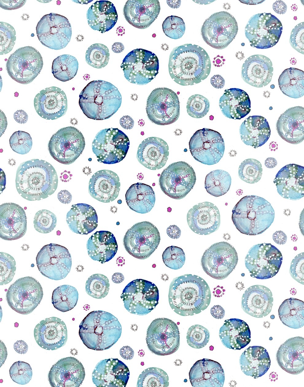 Zee-egelblauw, 2020 (aquarel op papier) door Marianna Kulukundis