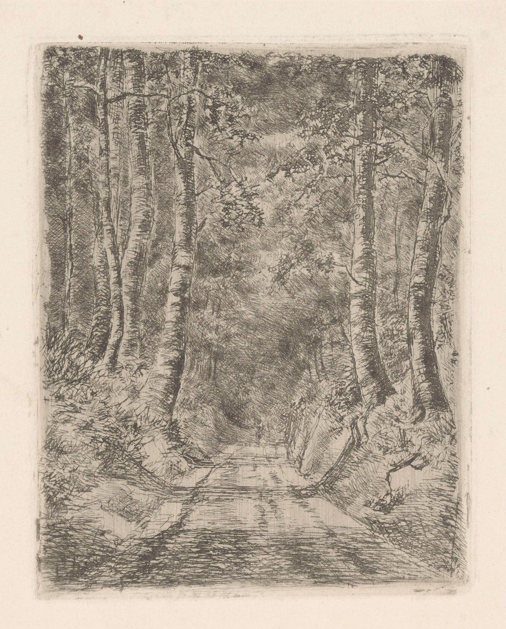 Bos langs een holle weg door Marie Adolphine van der Goes van Dirxland
