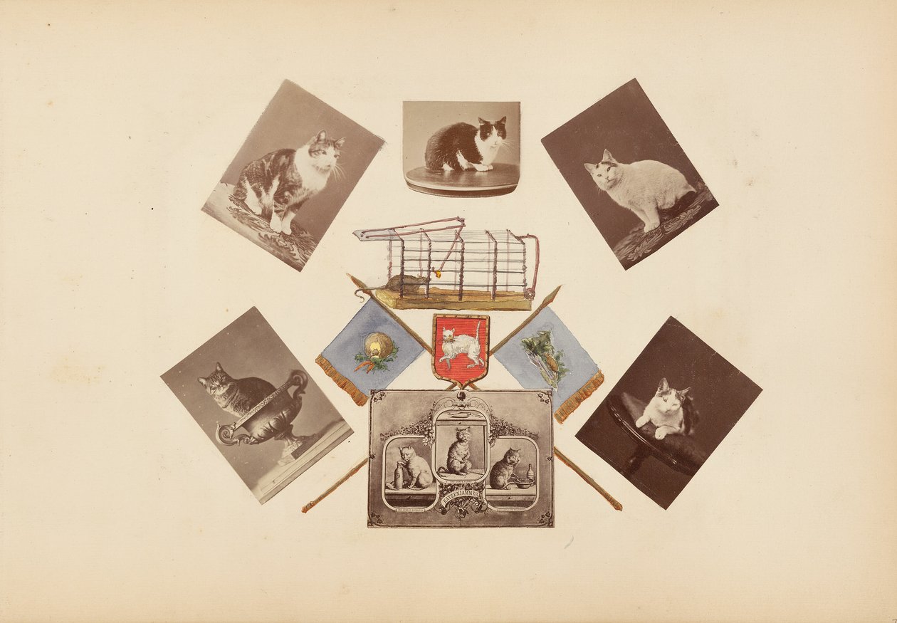 Het Madame B Album door Marie Blanche Hennelle Fournier