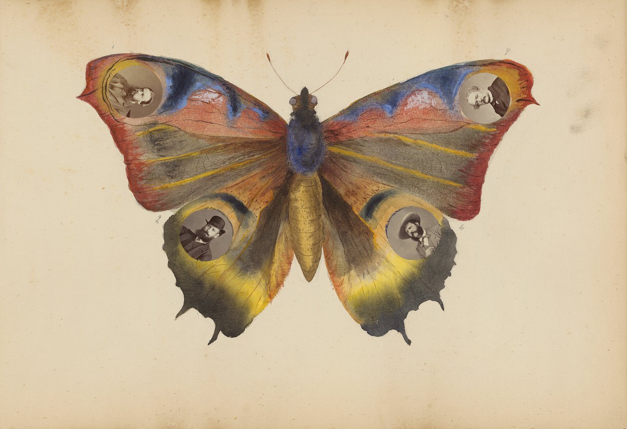 Het album van Madame B door Marie Blanche Hennelle Fournier
