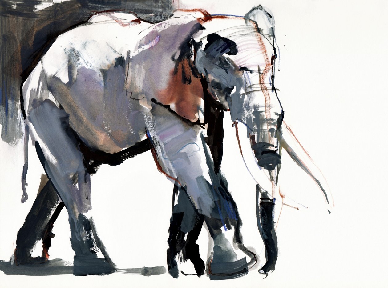 Afrikaanse olifant, 2012 door Mark Adlington
