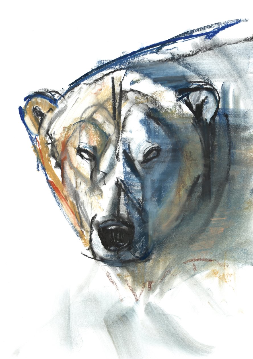 Arctisch icoon, 2015 door Mark Adlington