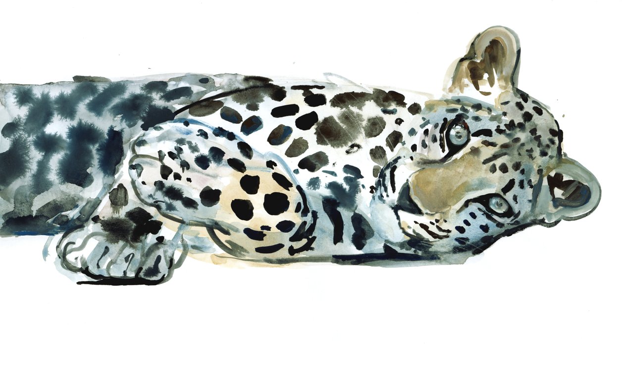 Gebroken Siësta, 2015 door Mark Adlington