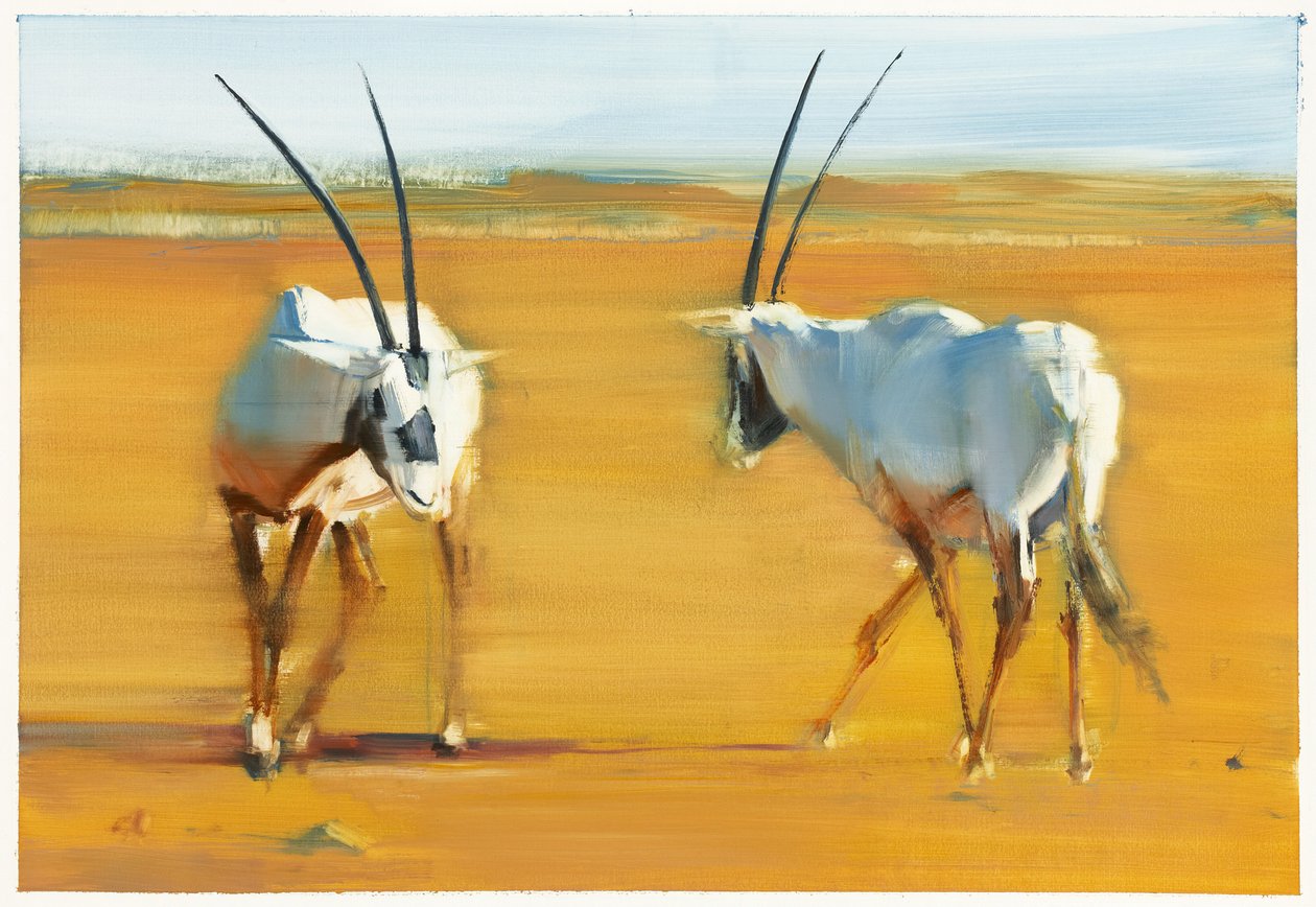 Cirkelende Arabische oryx, 2010 door Mark Adlington