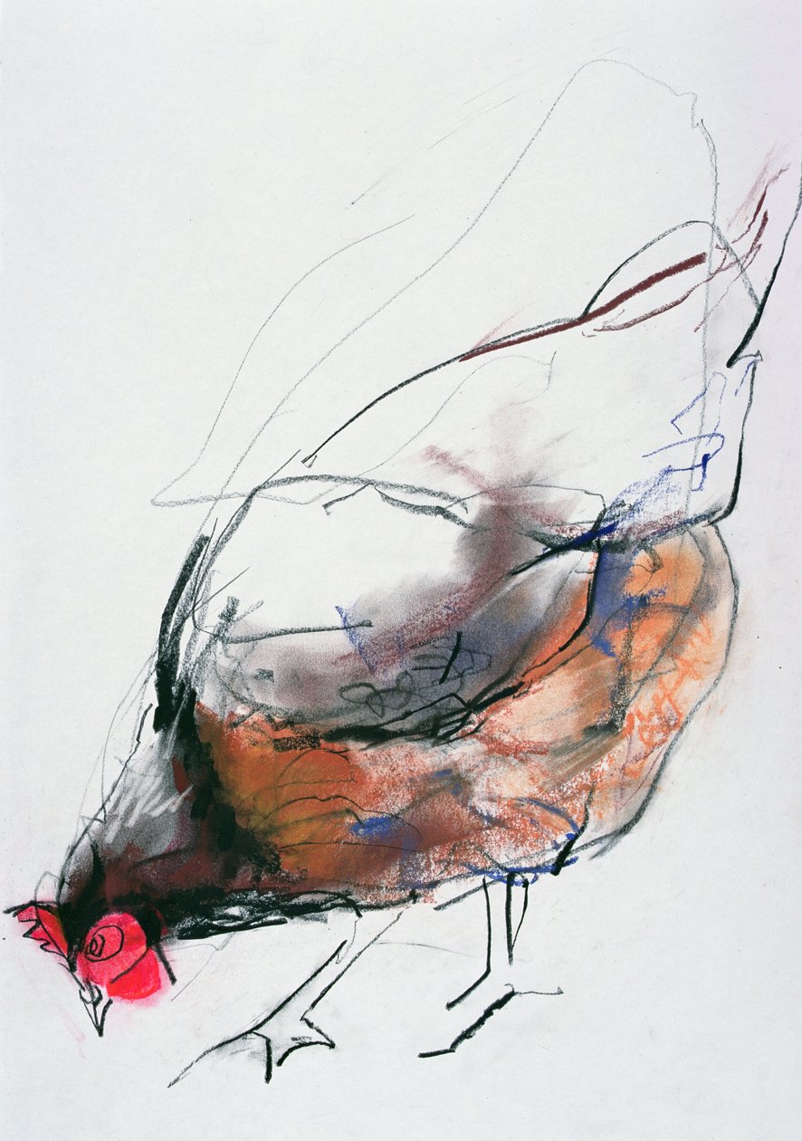 Voedende hen, Trasierra, 1998 door Mark Adlington